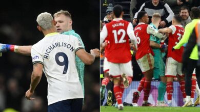 Aaron Ramsdale “Kicked” by Tottenham Fan, “Shoved” by Richarlison