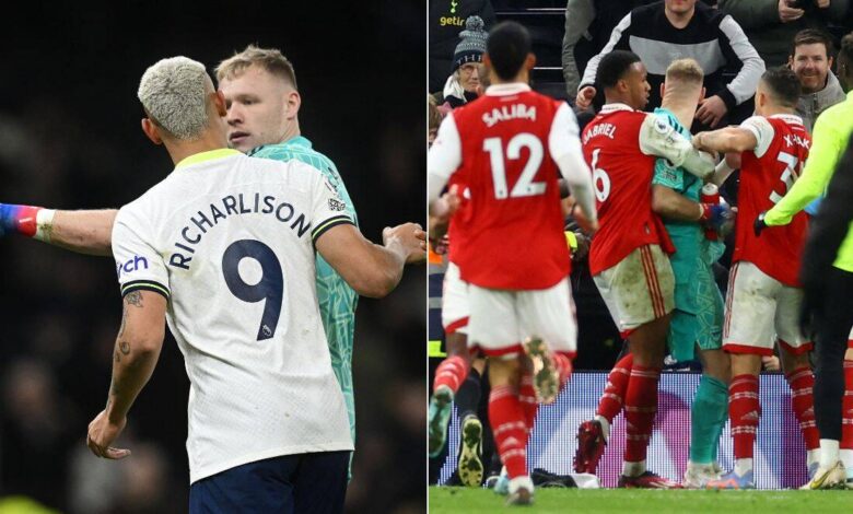 Aaron Ramsdale “Kicked” by Tottenham Fan, “Shoved” by Richarlison