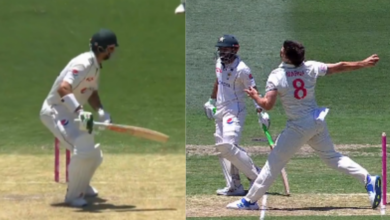 Controversy Erupts as Fans Spot Error in Shan Masood's Dismissal No-Ball Check